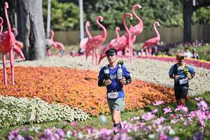 BIB: 
                            <button type="button" onclick="openModal(27793337)" class="btn btn-primary btn-sm float-right btn-popup" data-toggle="modal" data-target=".modal-high-quality">
                        <i class="fas fa-shopping-cart"></i> Add to Cart
                    </button>
                                            <button type="button" onclick="isThisMe(27793337, true)" class="btn btn-success btn-sm float-right btn-popup btn-isme hidden" data-toggle="tooltip" data-placement="bottom" title="นี่คือรูปของคุณใช่ไหม คลิกที่นี่เพื่อเอาเข้าอัลบั้ม">
                        <i class="fas fa-plus"></i> Add to album
                    </button>
                    <button type="button" onclick="isThisMe(27793337, false)" class="btn btn-warning btn-sm float-right btn-popup btn-isnotme hidden">
                        <i class="fas fa-ban"></i> Remove from album
                    </button>